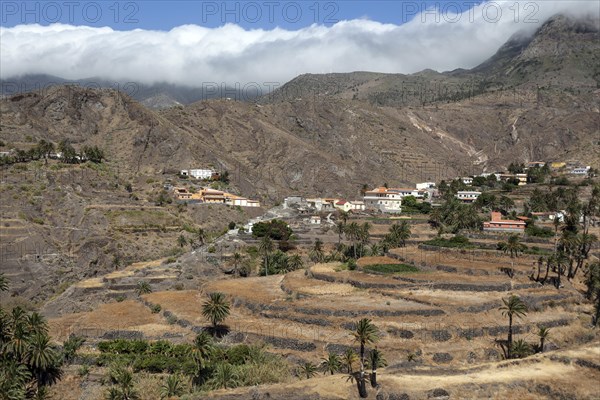 View of terraced fields and Alojera