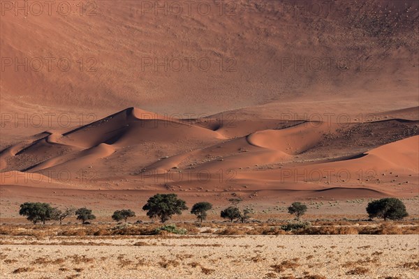 Sand dunes