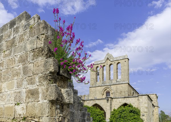 Monastery ruin