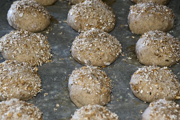 Formed dough for wholemeal rolls