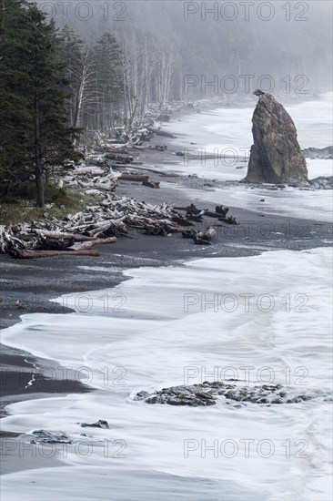 Rialto Beach in Olympic National Park