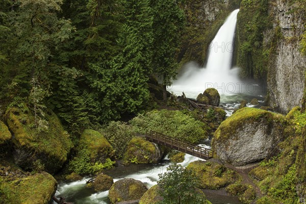 Wahclella Falls in the Columbia River Gorge