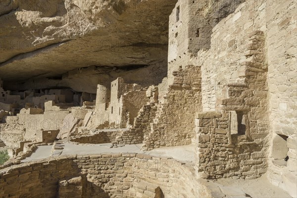 Cliff Palace cliff dwelling