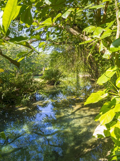 Freshwater river