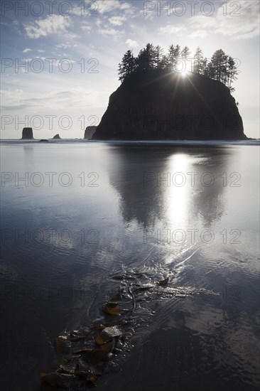 Sea stack on Second Beach in Olympic National Park