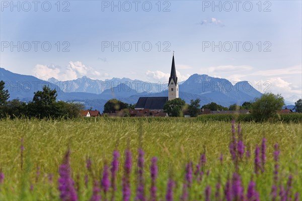 Pfaffenhofen am Inn