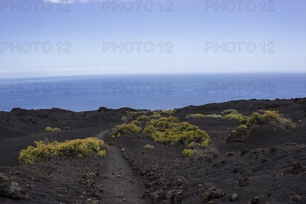 Hiking trail through lava landscape