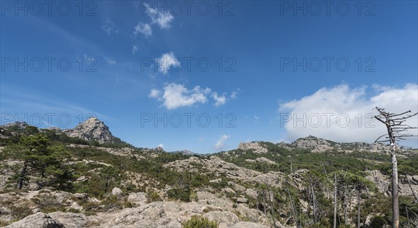 Mountain landscape