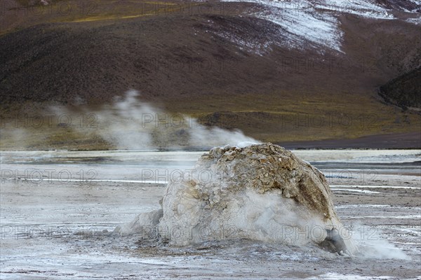 Geyser