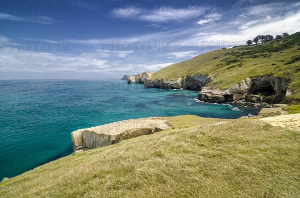 Rocky cliffs of the Pacific coast at Tunnel Beach