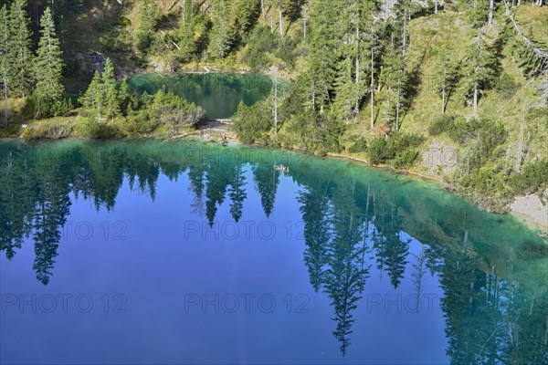 Sieglsee in Schwarzwassertal