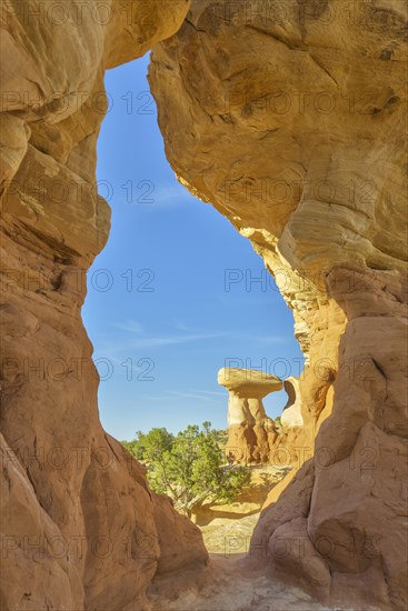 Rock formations in Devil's Garden