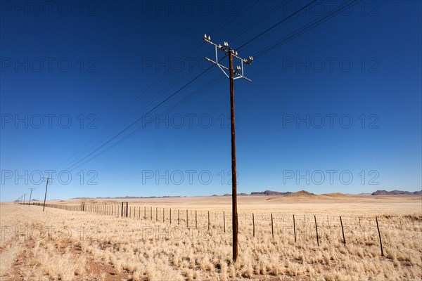 Landscape with electricity and telephone poles along the B4