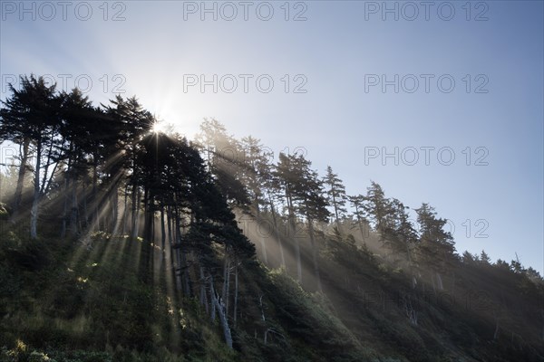 Shi Shi Beach in Olympic National Park