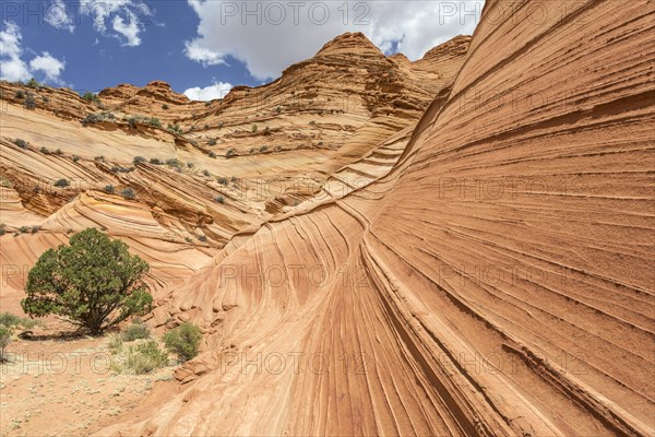 Rock formations of the Teepees