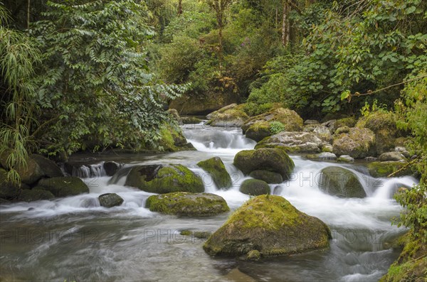 River with rocks