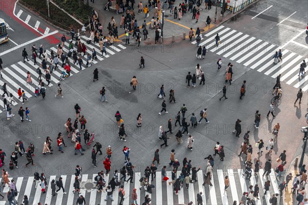 Shibuya crossing