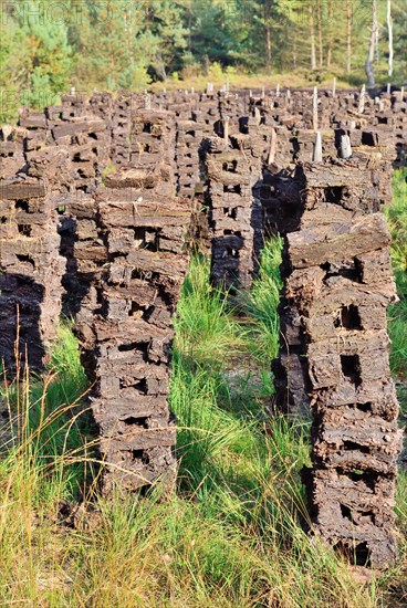 Stacks of peat sods left or drying in the traditional manner