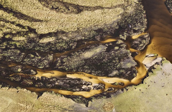 Freshwater marshes with sandy streams