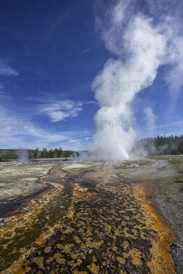 Splendid Geyser