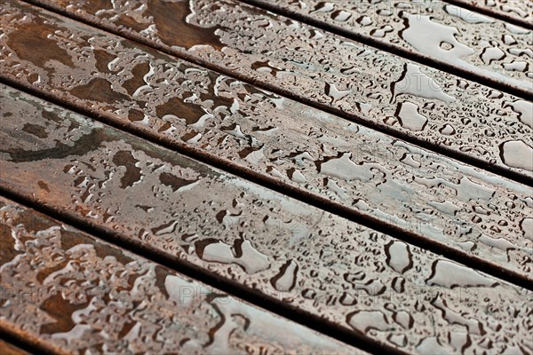 Wet wood table top