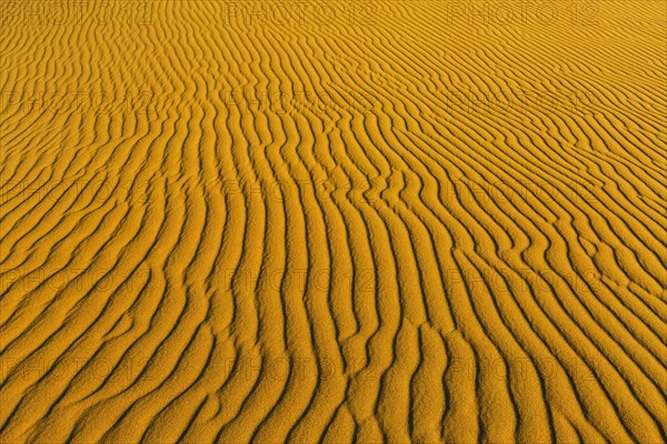 Wave pattern in the sand