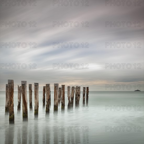 Old jetty posts on the beach at St Clair