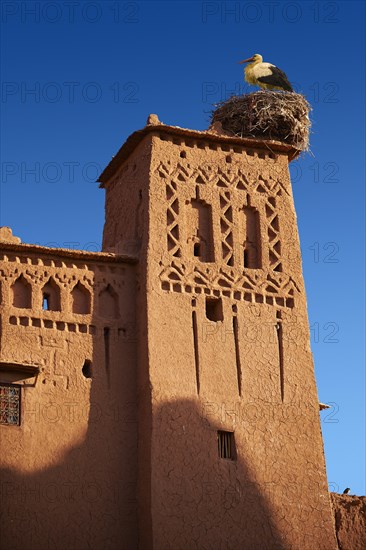 Stork's nest on the mud buildings of the fortified Berber Ksar of Ait Benhaddou