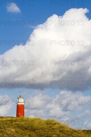 Eierland Lighthouse with dunes