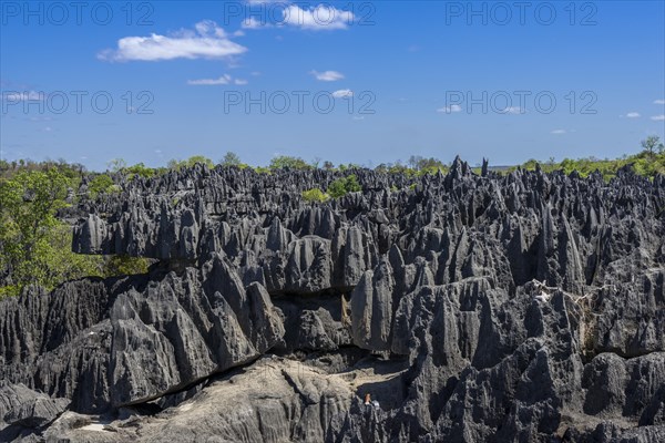 Karst Landscape