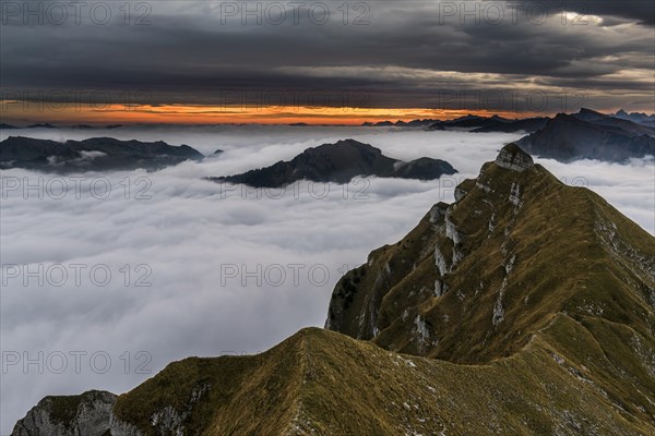 Summit of the Kanisfluh with cloud cover below