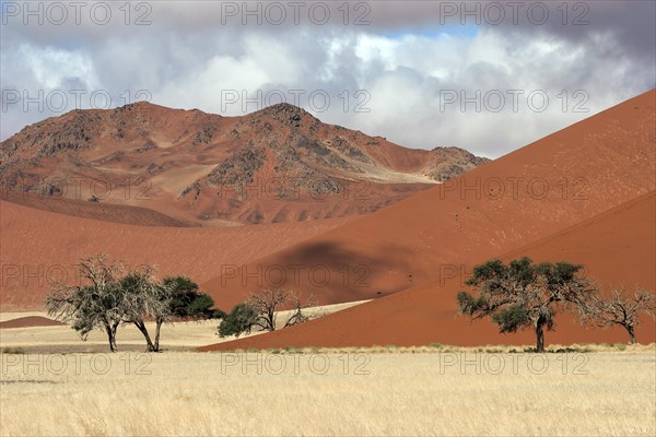 Sand dunes