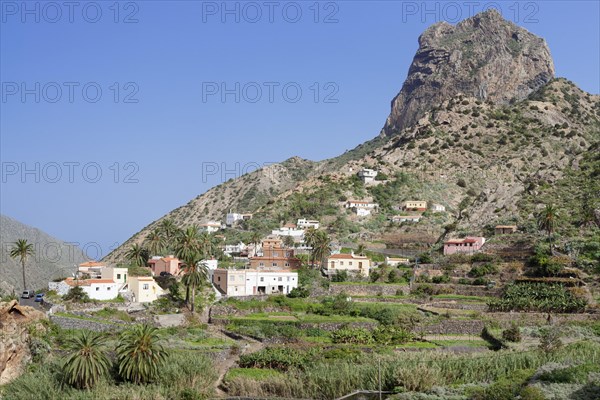 View of the village