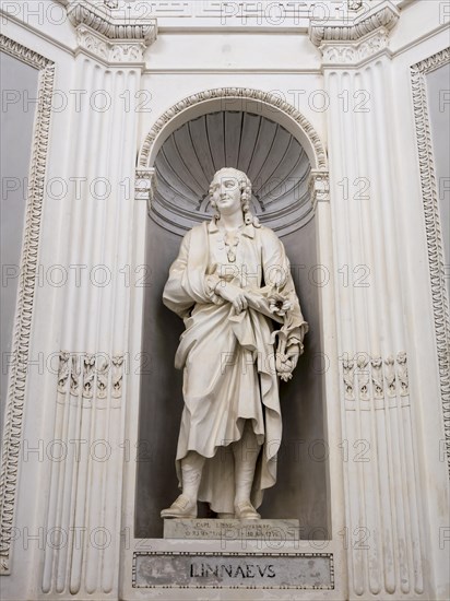 Statue of Linnaeus at Villa Giulia