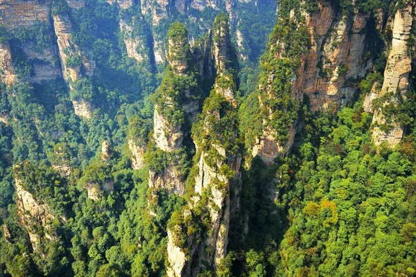 Avatar Mountains with vertical quartz-sandstone pillars