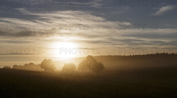 Sunset with dust from harvesting