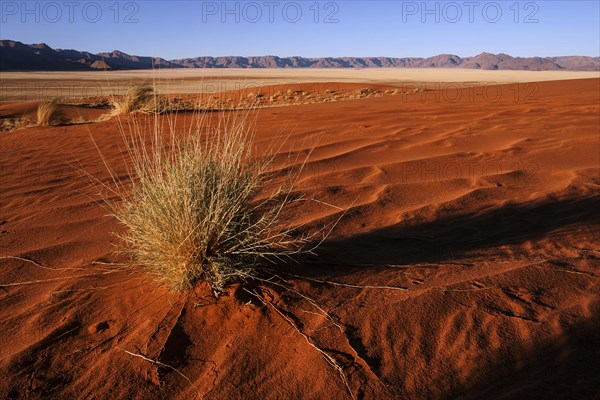 Southern foothills of the Namib desert