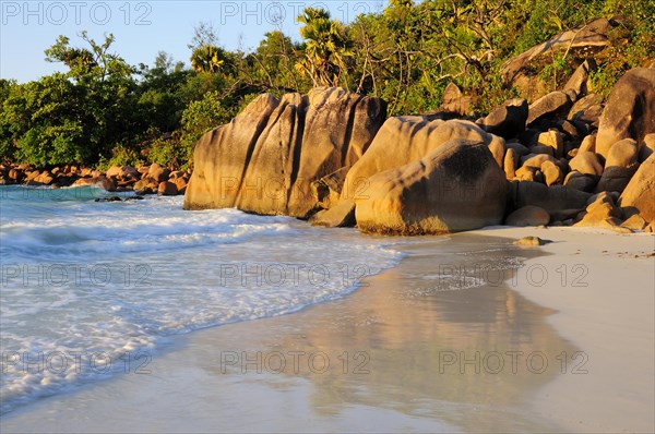 Beach in the evening light