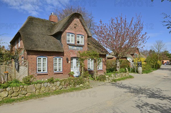 Frisian house in Frisian village Nebel