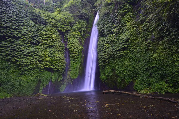 Waterfall of Munduk