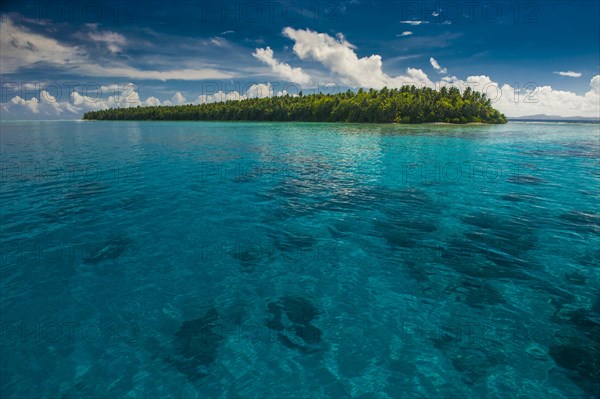 Islet in the Ant Atoll