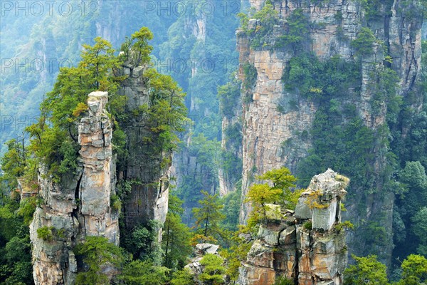 Tianzishan mountain with vertical rock columns of quartz sandstone