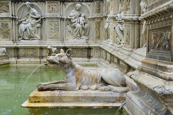 She-wolf spouting water in the Fonte Gaia fountain