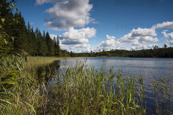 Lake Aelgetjarnet