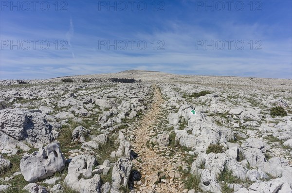 Plateau of the Moon