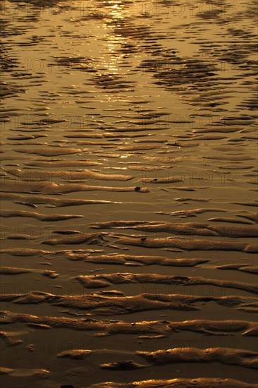 Beach at low tide in the evening light