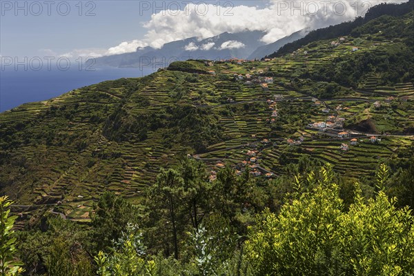 Terraced fields and houses