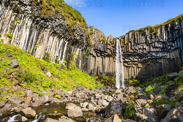 Svartifoss