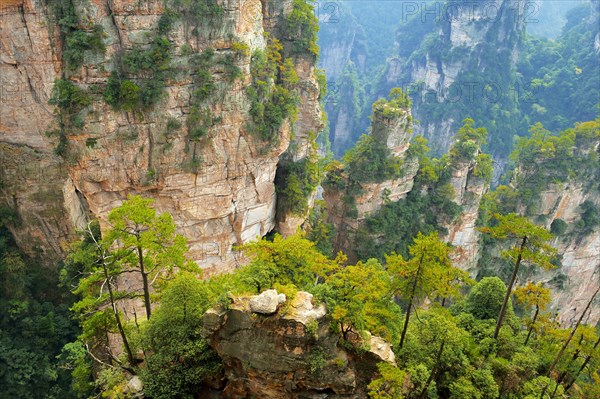 Avatar Mountains with vertical quartz-sandstone pillars