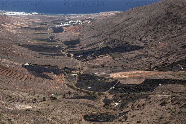 View from the Mirador de Haria into the Valle de Temisa